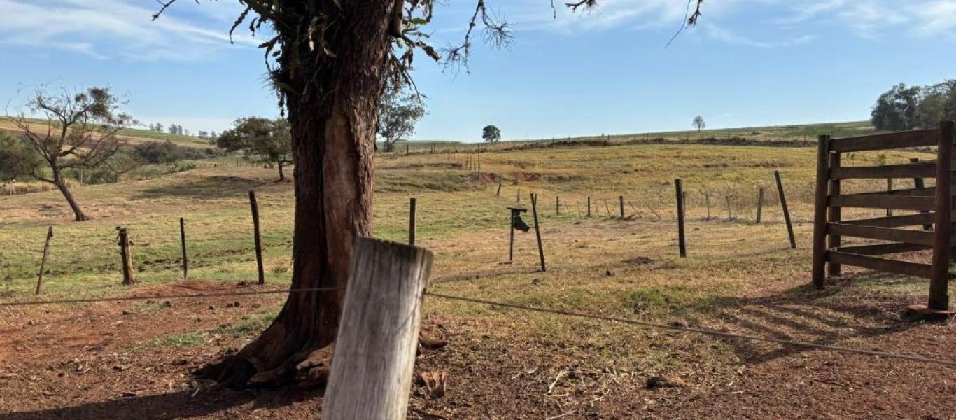 FAZENDA NA FAZENDA PAU D'ALHO em IBIRAREMA