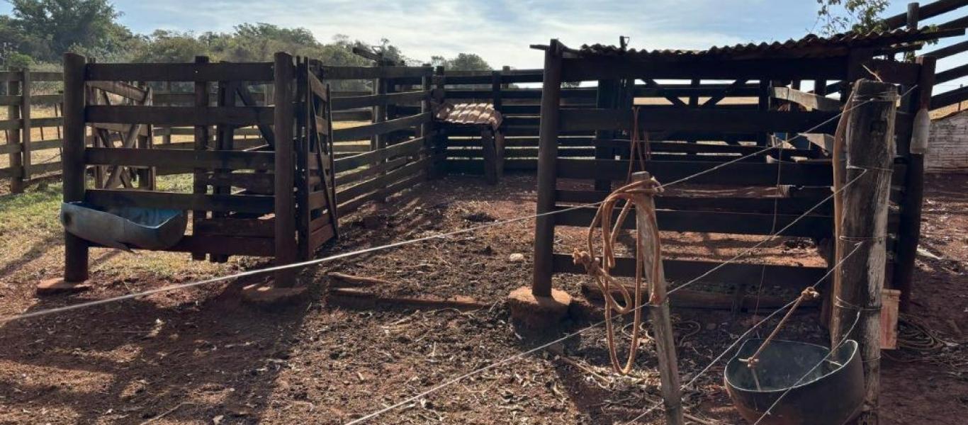 FAZENDA NA FAZENDA PAU D'ALHO em IBIRAREMA