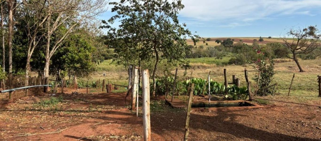 FAZENDA NA FAZENDA PAU D'ALHO em IBIRAREMA