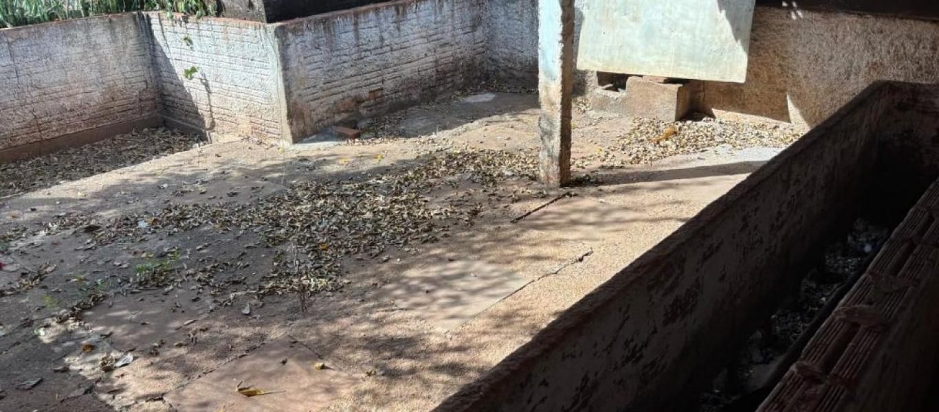 FAZENDA NA FAZENDA PAU D'ALHO em IBIRAREMA
