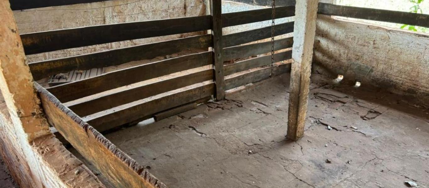 FAZENDA NA FAZENDA PAU D'ALHO em IBIRAREMA