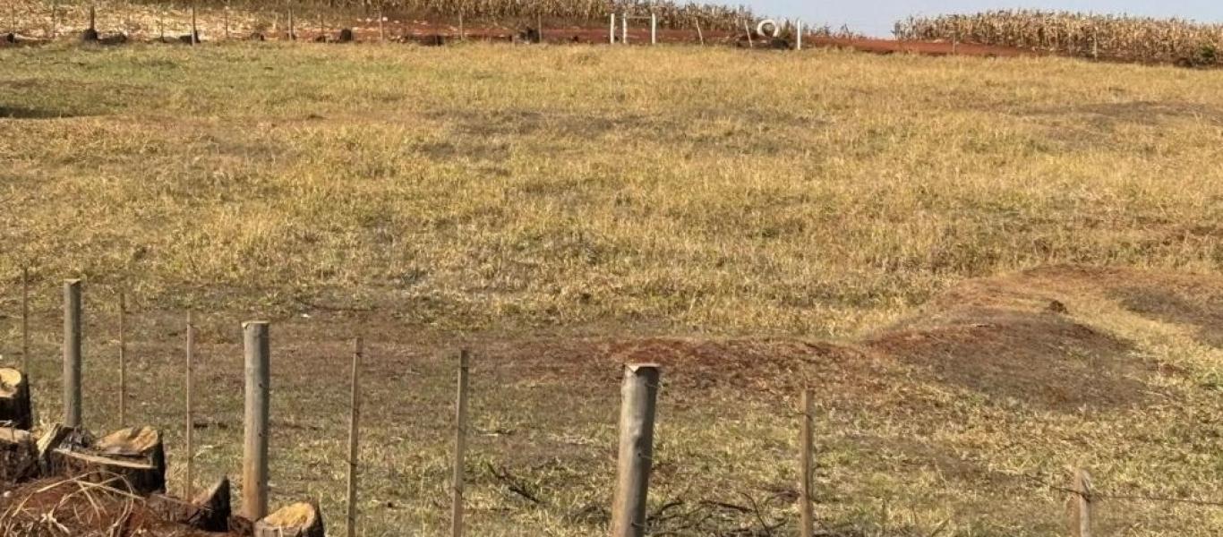 FAZENDA NA FAZENDA PAU D'ALHO em IBIRAREMA