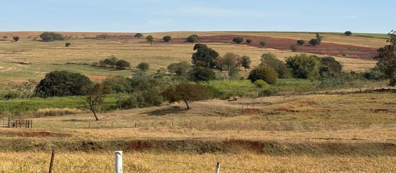 FAZENDA NA FAZENDA PAU D'ALHO em IBIRAREMA