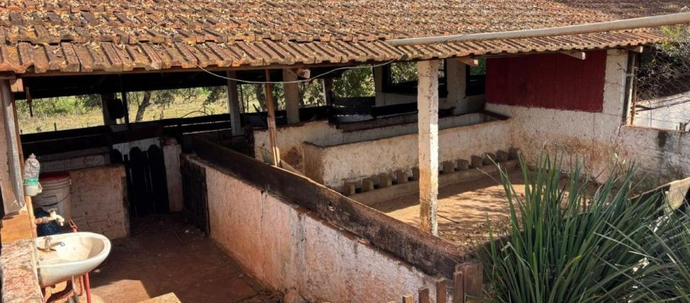 FAZENDA NA FAZENDA PAU D'ALHO em IBIRAREMA