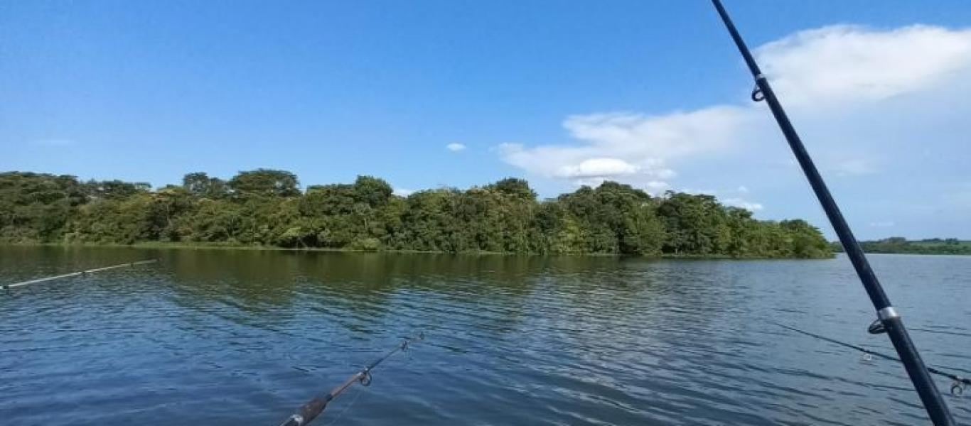 RANCHO NA PORTO ALMEIDA em CÂNDIDO MOTA