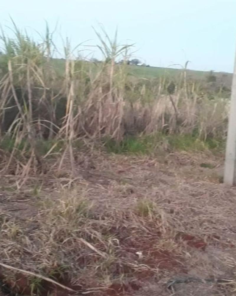 TERRENO NA ÁGUA DA FIGUEIRA em PARAGUÇU PAULISTA