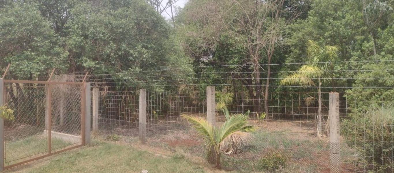 CHÁCARA NO SÍTIO SÃO JOÃO em PALMITAL