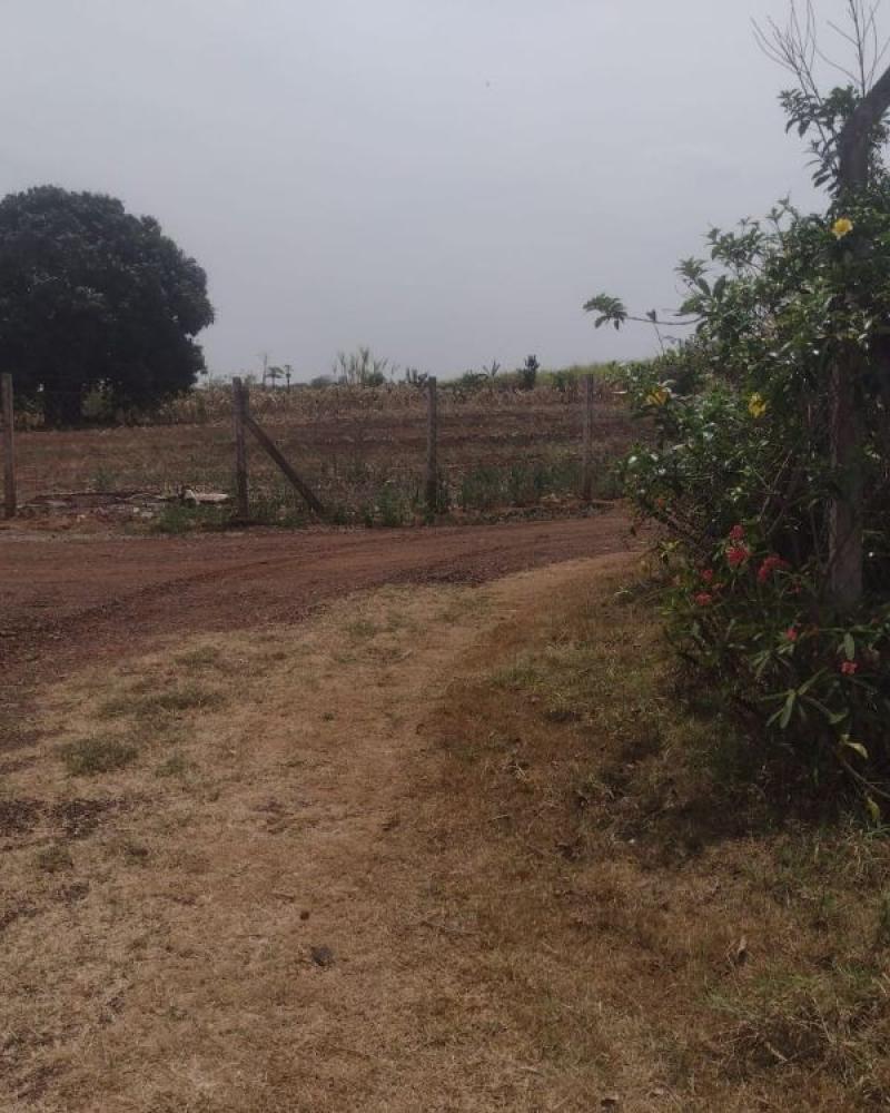 TERRENO NO SÍTIO SÃO JORGE em PALMITAL