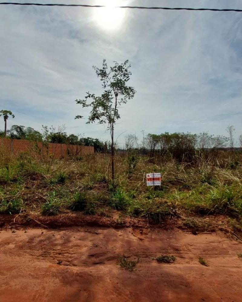 TERRENO NA ÁGUA DA PINGA em ASSIS