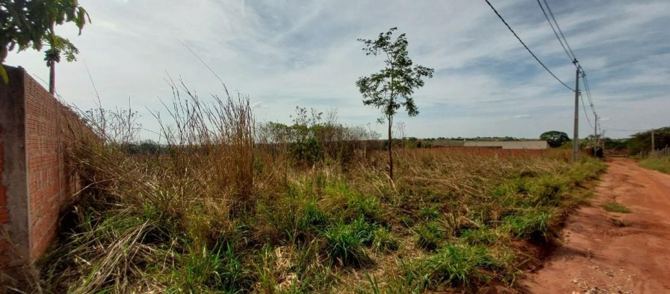 TERRENO NA ÁGUA DA PINGA em ASSIS