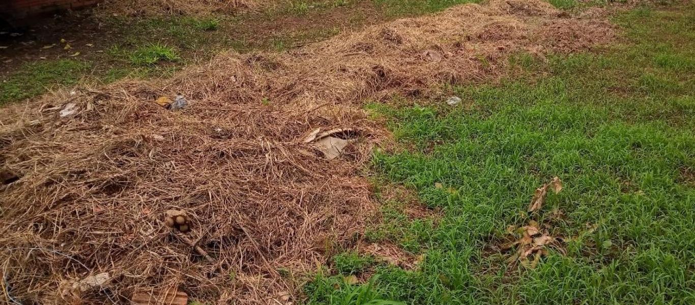 TERRENO NA Vila Claudia em Assis