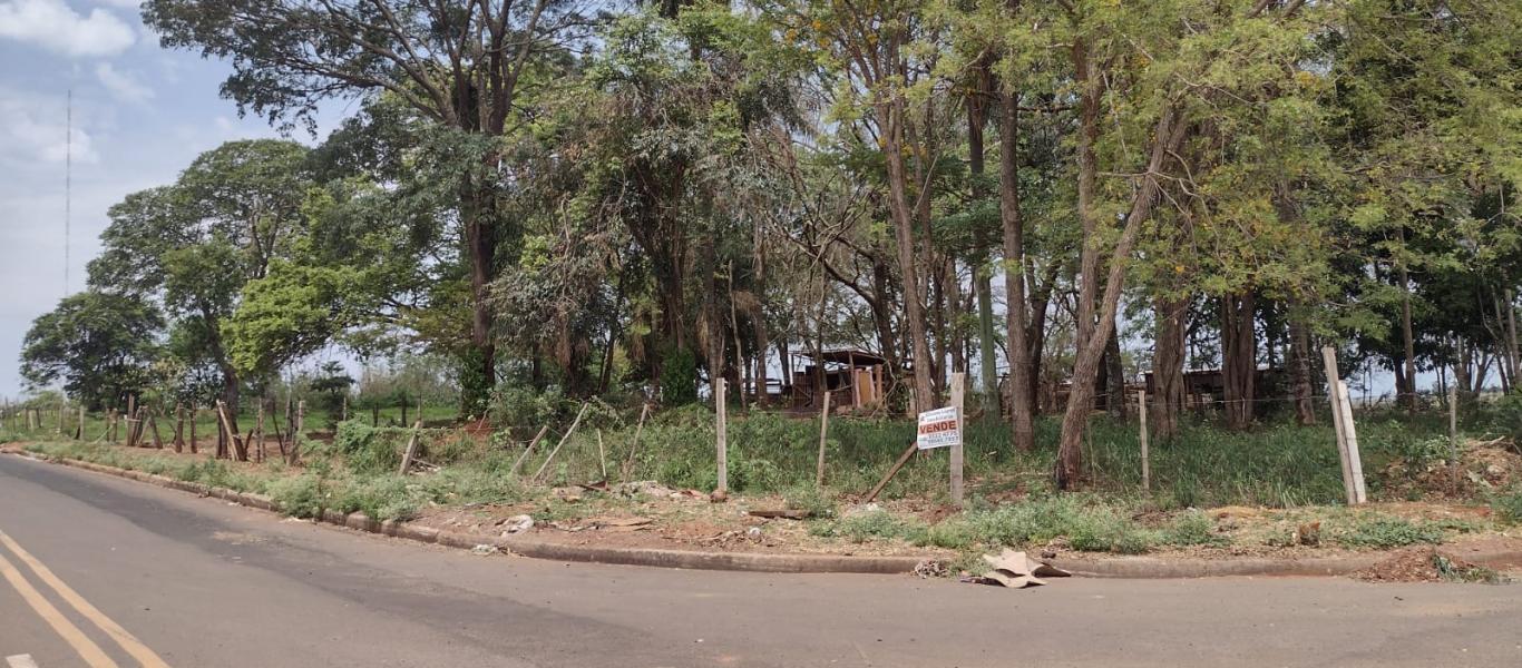 TERRENO NA VILA RIBEIRO em Assis